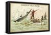 Whaling-null-Framed Stretched Canvas