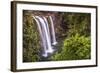 Whangarei Falls, a Popular Waterfall in the Northlands Region of North Island, New Zealand, Pacific-Matthew Williams-Ellis-Framed Photographic Print