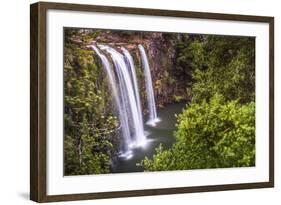 Whangarei Falls, a Popular Waterfall in the Northlands Region of North Island, New Zealand, Pacific-Matthew Williams-Ellis-Framed Photographic Print