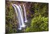 Whangarei Falls, a Popular Waterfall in the Northlands Region of North Island, New Zealand, Pacific-Matthew Williams-Ellis-Mounted Photographic Print