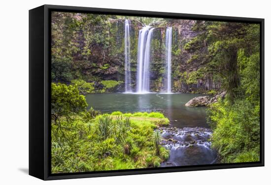 Whangarei Falls, a Popular Waterfall in the Northlands Region of North Island, New Zealand, Pacific-Matthew Williams-Ellis-Framed Stretched Canvas