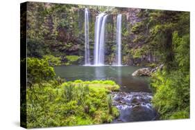 Whangarei Falls, a Popular Waterfall in the Northlands Region of North Island, New Zealand, Pacific-Matthew Williams-Ellis-Stretched Canvas