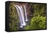 Whangarei Falls, a Popular Waterfall in the Northlands Region of North Island, New Zealand, Pacific-Matthew Williams-Ellis-Framed Stretched Canvas