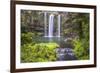 Whangarei Falls, a Popular Waterfall in the Northlands Region of North Island, New Zealand, Pacific-Matthew Williams-Ellis-Framed Photographic Print