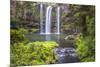 Whangarei Falls, a Popular Waterfall in the Northlands Region of North Island, New Zealand, Pacific-Matthew Williams-Ellis-Mounted Photographic Print