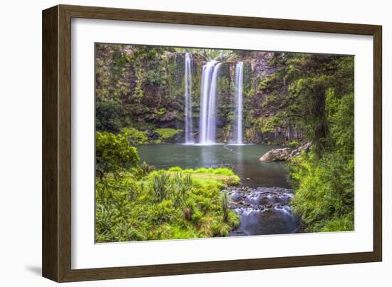 Whangarei Falls, a Popular Waterfall in the Northlands Region of North Island, New Zealand, Pacific-Matthew Williams-Ellis-Framed Photographic Print