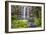 Whangarei Falls, a Popular Waterfall in the Northlands Region of North Island, New Zealand, Pacific-Matthew Williams-Ellis-Framed Photographic Print