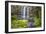 Whangarei Falls, a Popular Waterfall in the Northlands Region of North Island, New Zealand, Pacific-Matthew Williams-Ellis-Framed Photographic Print