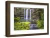 Whangarei Falls, a Popular Waterfall in the Northlands Region of North Island, New Zealand, Pacific-Matthew Williams-Ellis-Framed Photographic Print