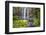 Whangarei Falls, a Popular Waterfall in the Northlands Region of North Island, New Zealand, Pacific-Matthew Williams-Ellis-Framed Photographic Print