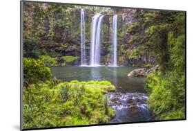 Whangarei Falls, a Popular Waterfall in the Northlands Region of North Island, New Zealand, Pacific-Matthew Williams-Ellis-Mounted Photographic Print