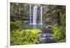 Whangarei Falls, a Popular Waterfall in the Northlands Region of North Island, New Zealand, Pacific-Matthew Williams-Ellis-Framed Photographic Print