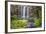 Whangarei Falls, a Popular Waterfall in the Northlands Region of North Island, New Zealand, Pacific-Matthew Williams-Ellis-Framed Photographic Print