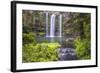 Whangarei Falls, a Popular Waterfall in the Northlands Region of North Island, New Zealand, Pacific-Matthew Williams-Ellis-Framed Photographic Print