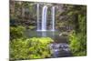 Whangarei Falls, a Popular Waterfall in the Northlands Region of North Island, New Zealand, Pacific-Matthew Williams-Ellis-Mounted Photographic Print