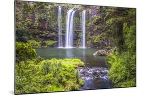 Whangarei Falls, a Popular Waterfall in the Northlands Region of North Island, New Zealand, Pacific-Matthew Williams-Ellis-Mounted Photographic Print
