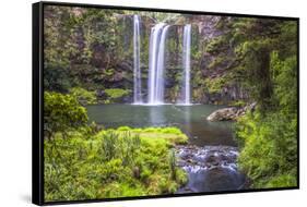 Whangarei Falls, a Popular Waterfall in the Northlands Region of North Island, New Zealand, Pacific-Matthew Williams-Ellis-Framed Stretched Canvas