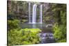 Whangarei Falls, a Popular Waterfall in the Northlands Region of North Island, New Zealand, Pacific-Matthew Williams-Ellis-Stretched Canvas