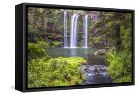 Whangarei Falls, a Popular Waterfall in the Northlands Region of North Island, New Zealand, Pacific-Matthew Williams-Ellis-Framed Stretched Canvas