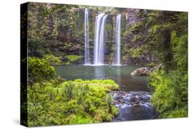 Whangarei Falls, a Popular Waterfall in the Northlands Region of North Island, New Zealand, Pacific-Matthew Williams-Ellis-Stretched Canvas