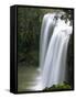 Whangarei Falls, Whangarei, Northland, New Zealand-David Wall-Framed Stretched Canvas