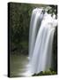 Whangarei Falls, Whangarei, Northland, New Zealand-David Wall-Stretched Canvas