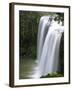 Whangarei Falls, Whangarei, Northland, New Zealand-David Wall-Framed Photographic Print