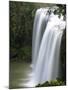 Whangarei Falls, Whangarei, Northland, New Zealand-David Wall-Mounted Photographic Print