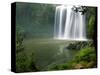 Whangarei Falls, Whangarei, Northland, New Zealand-David Wall-Stretched Canvas