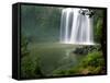 Whangarei Falls, Whangarei, Northland, New Zealand-David Wall-Framed Stretched Canvas