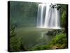 Whangarei Falls, Whangarei, Northland, New Zealand-David Wall-Stretched Canvas