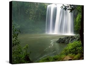 Whangarei Falls, Whangarei, Northland, New Zealand-David Wall-Stretched Canvas