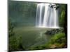 Whangarei Falls, Whangarei, Northland, New Zealand-David Wall-Mounted Photographic Print