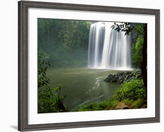 Whangarei Falls, Whangarei, Northland, New Zealand-David Wall-Framed Photographic Print