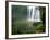 Whangarei Falls, Whangarei, Northland, New Zealand-David Wall-Framed Photographic Print