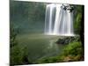 Whangarei Falls, Whangarei, Northland, New Zealand-David Wall-Mounted Photographic Print