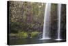 Whangarei Falls-null-Stretched Canvas