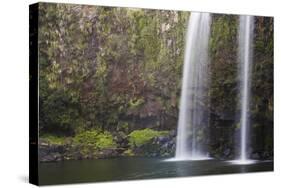 Whangarei Falls-null-Stretched Canvas