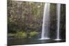 Whangarei Falls-null-Mounted Photographic Print