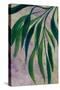 Whani leaves-Rosana Laiz Garcia-Stretched Canvas