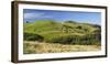 Wharariki, Tasman, South Island, New Zealand-Rainer Mirau-Framed Photographic Print