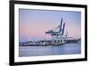 Wharf in the Harbour of Auckland, North Island, New Zealand, Pacific-Michael-Framed Photographic Print