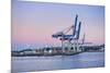 Wharf in the Harbour of Auckland, North Island, New Zealand, Pacific-Michael-Mounted Photographic Print