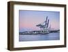 Wharf in the Harbour of Auckland, North Island, New Zealand, Pacific-Michael-Framed Photographic Print