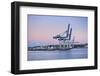 Wharf in the Harbour of Auckland, North Island, New Zealand, Pacific-Michael-Framed Photographic Print