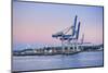 Wharf in the Harbour of Auckland, North Island, New Zealand, Pacific-Michael-Mounted Photographic Print