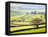 Wharfedale Near Appletreewick, Yorkshire Dales, Yorkshire, England, United Kingdom, Europe-Mark Sunderland-Framed Stretched Canvas