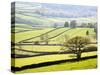 Wharfedale Near Appletreewick, Yorkshire Dales, Yorkshire, England, United Kingdom, Europe-Mark Sunderland-Stretched Canvas