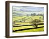 Wharfedale Near Appletreewick, Yorkshire Dales, Yorkshire, England, United Kingdom, Europe-Mark Sunderland-Framed Photographic Print