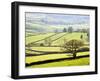 Wharfedale Near Appletreewick, Yorkshire Dales, Yorkshire, England, United Kingdom, Europe-Mark Sunderland-Framed Photographic Print